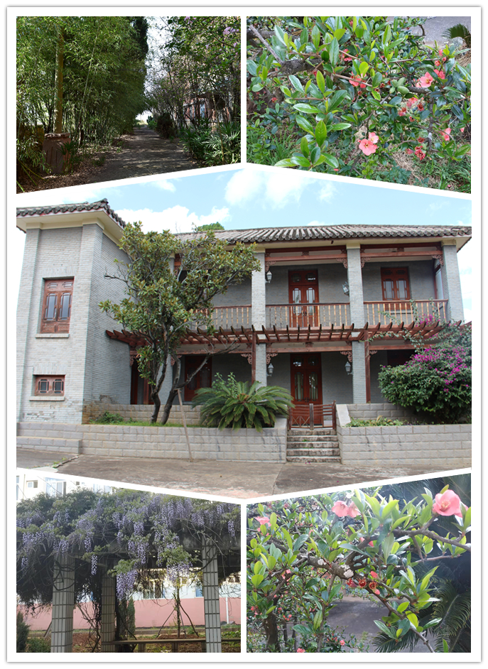 16506032557811.png 16506032557811.png