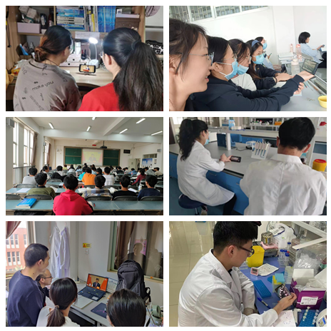 16522314159209.png 16522314159209.png