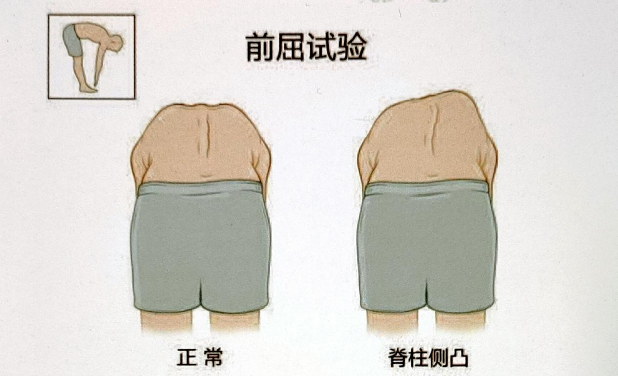 16681356227143.png 16681356227143.png