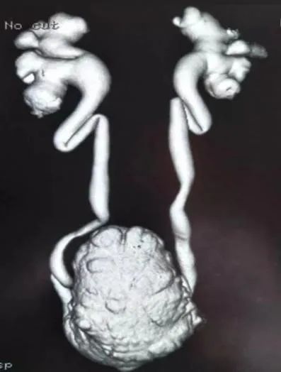 16835324777891.png 16835324777891.png