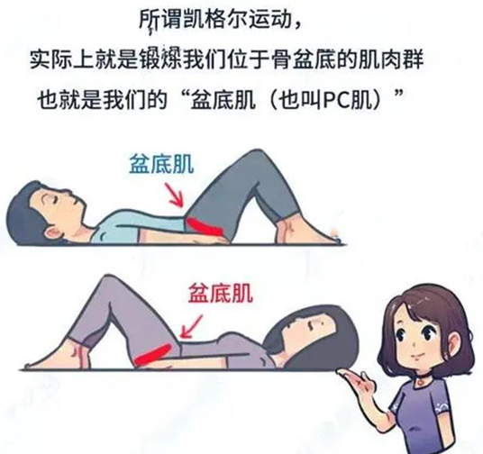 16837704635491.png 16837704635491.png