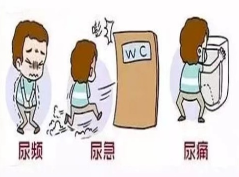 16838559454968.png 16838559454968.png