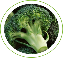 16848088702432.png 16848088702432.png