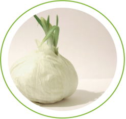 16848089212073.png 16848089212073.png