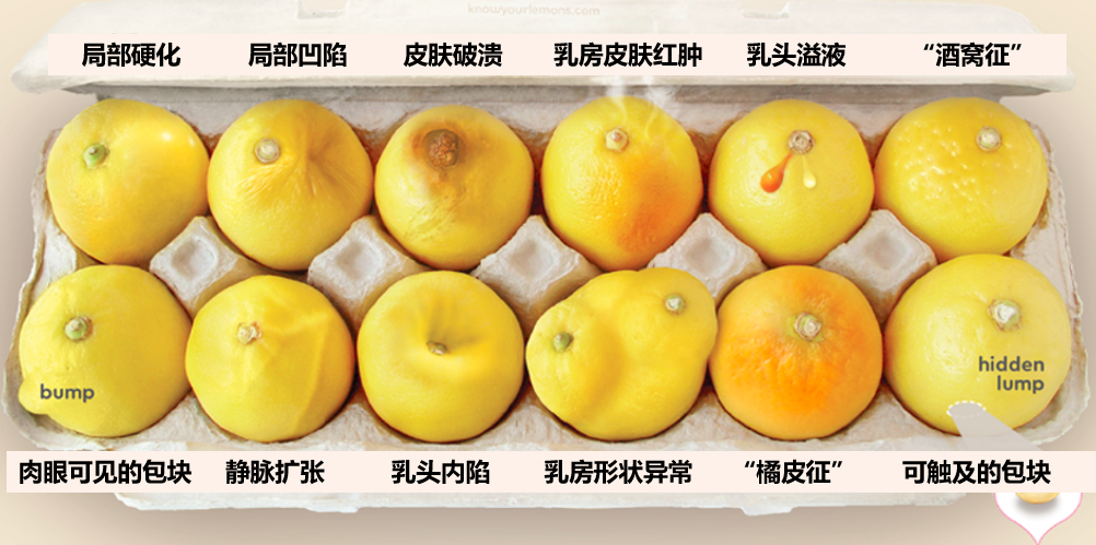 16854147252387.png 16854147252387.png