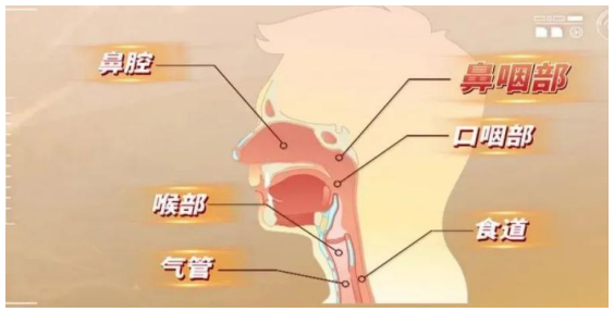 16859341691353.png 16859341691353.png