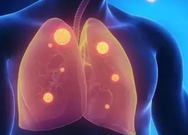 16883459474334.png 16883459474334.png