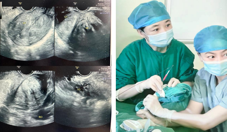 16958649578899.png 16958649578899.png