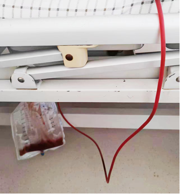 16969066783773.png 16969066783773.png