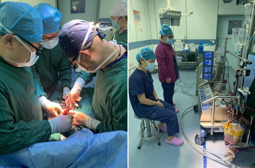 16974396658936.png 16974396658936.png