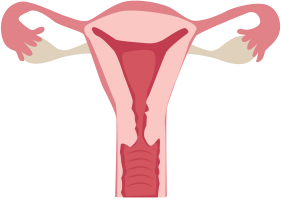 16988022164400.png 16988022164400.png