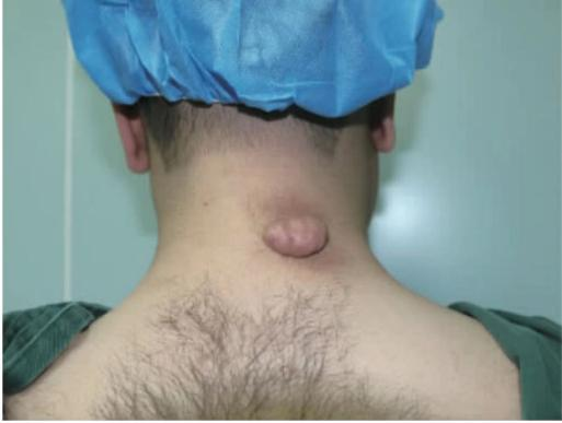 16998428519902.png 16998428519902.png