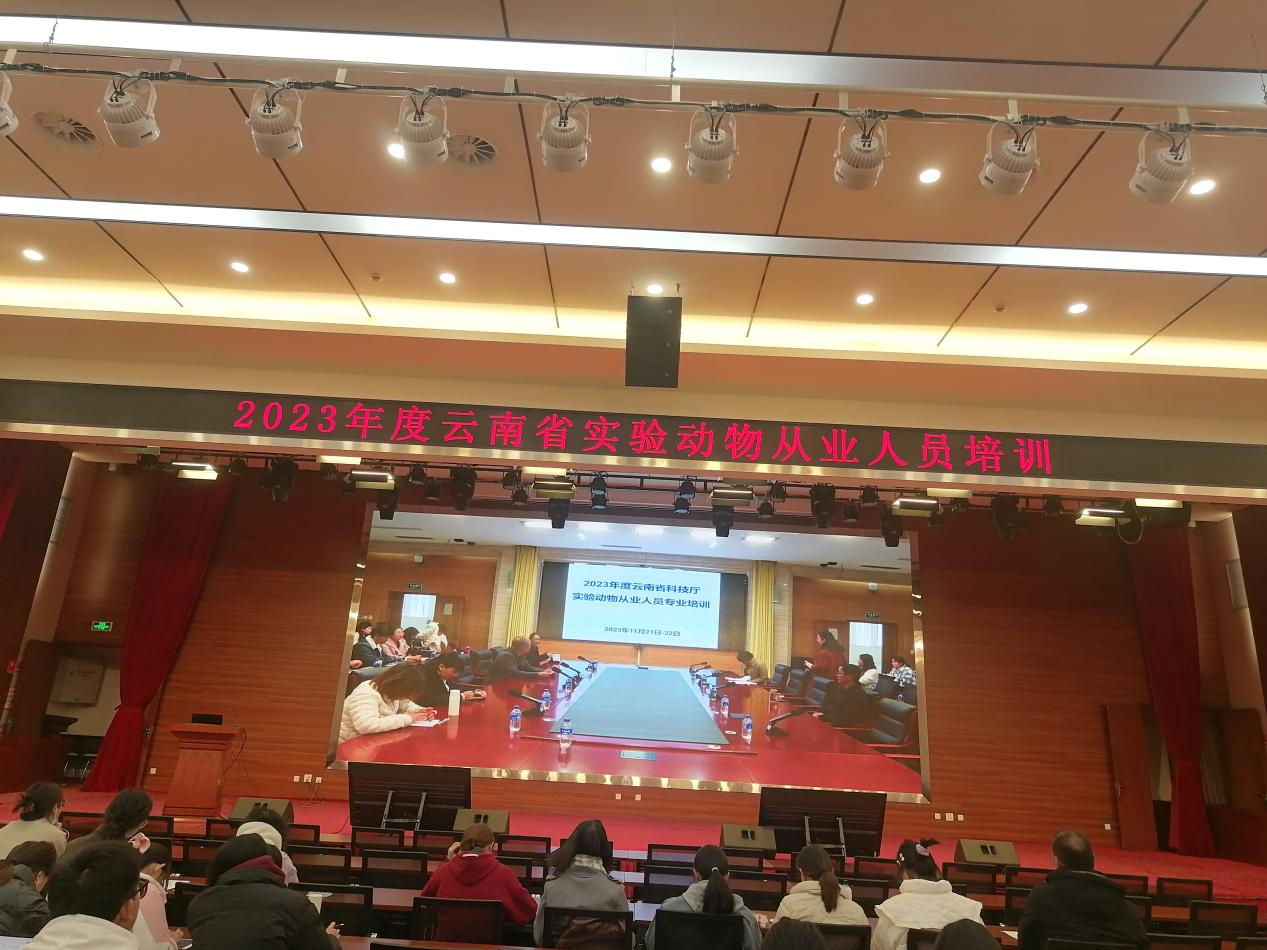 17010544771234.png 17010544771234.png