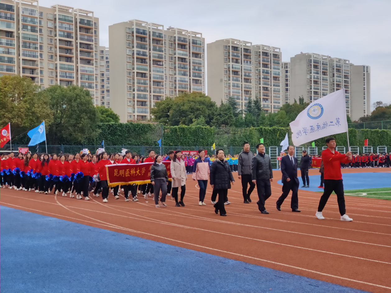 17013131209081.png 17013131209081.png