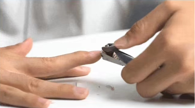 17050228769196.png 17050228769196.png