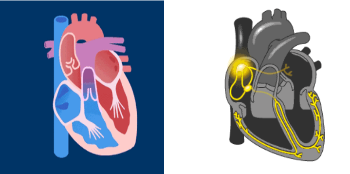 17109033705647.png 17109033705647.png