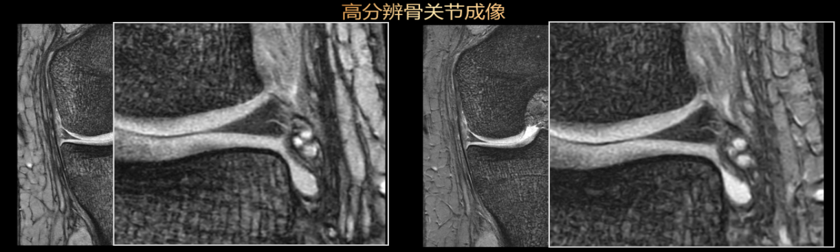 17217016259724.png 17217016259724.png