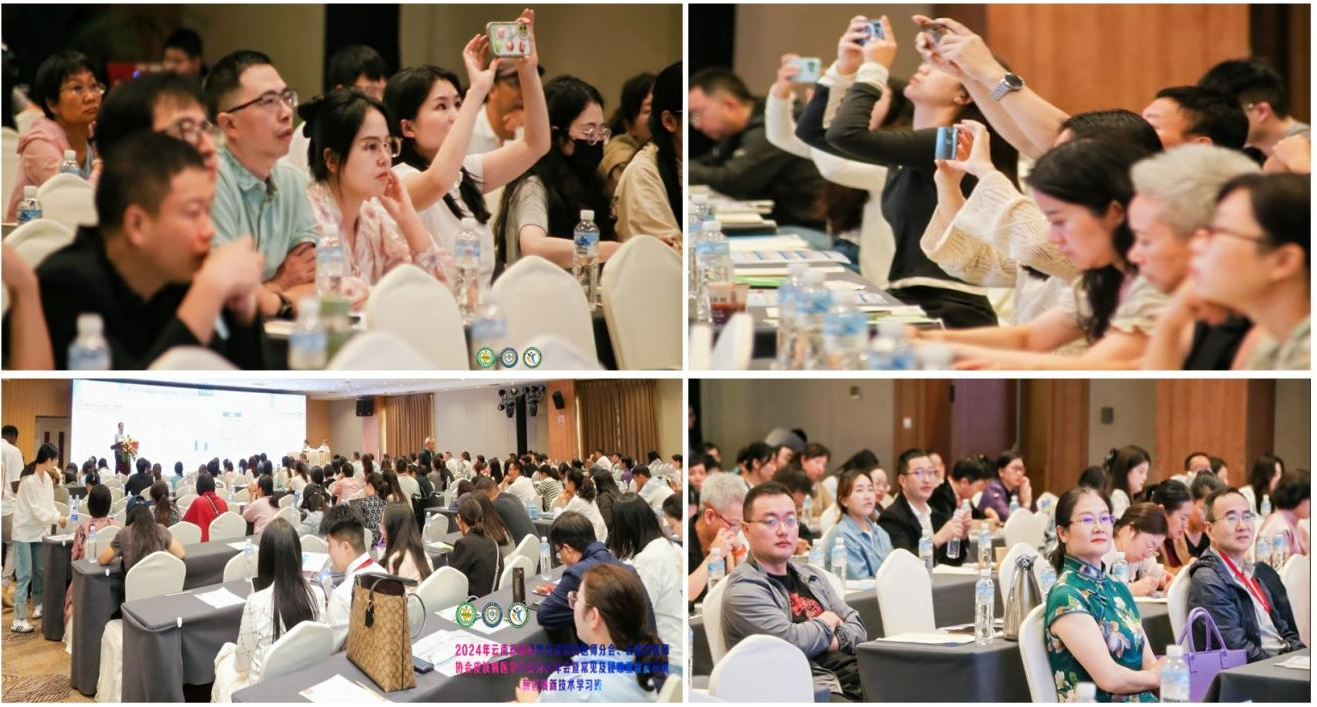 17271412635320.png 17271412635320.png