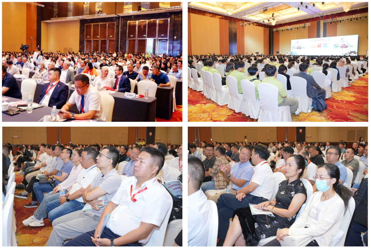 17274026443052.png 17274026443052.png