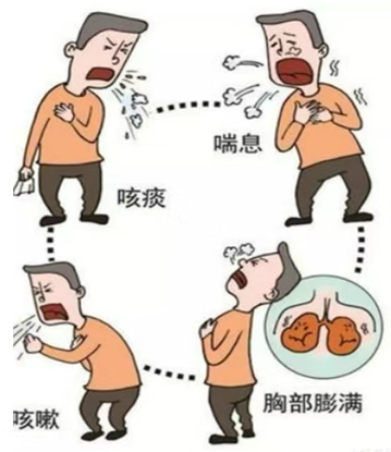 17315450944066.png 17315450944066.png