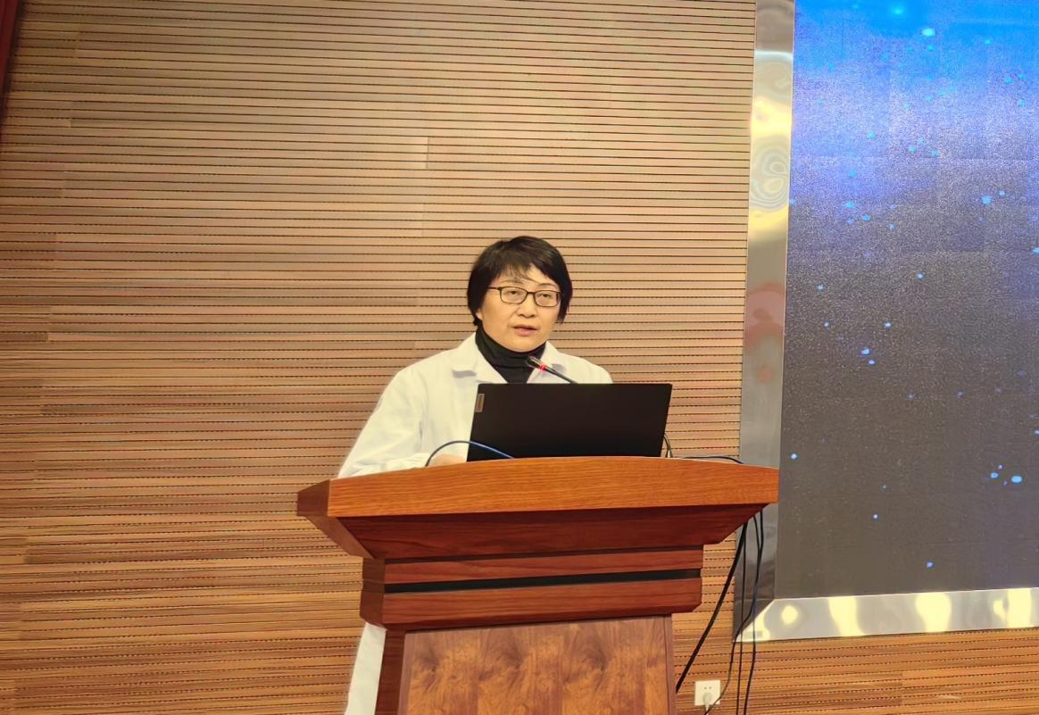 17328424077635.png 17328424077635.png