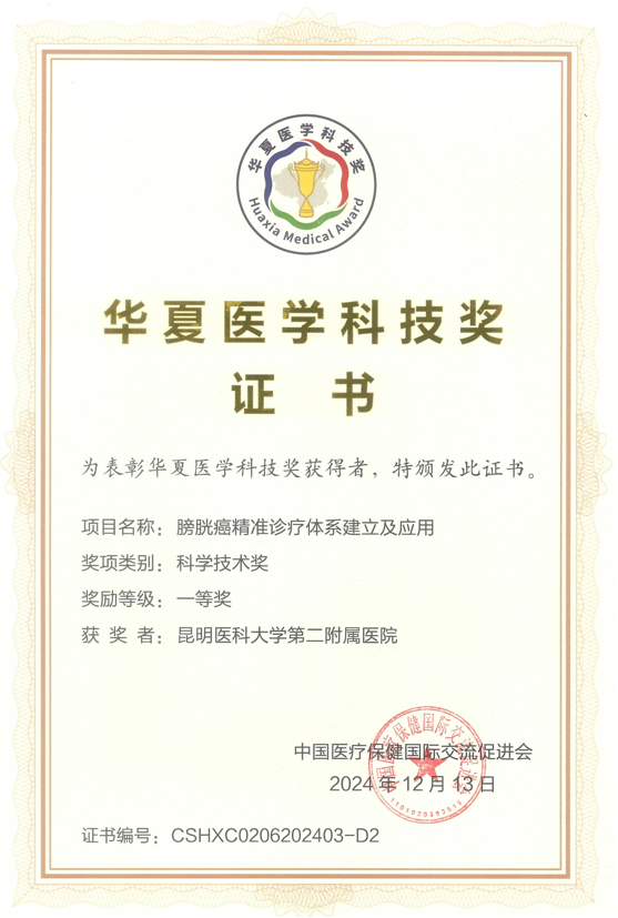 17351852356737.png 17351852356737.png