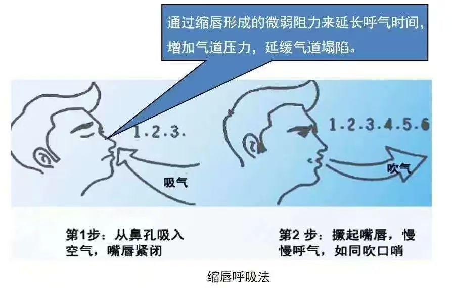 17439963132105.png 17439963132105.png