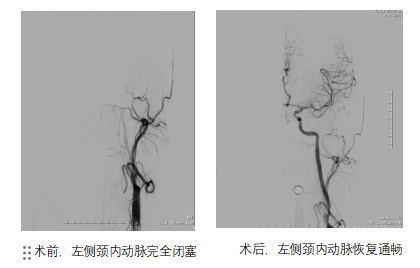 17490268484576.png 17490268484576.png