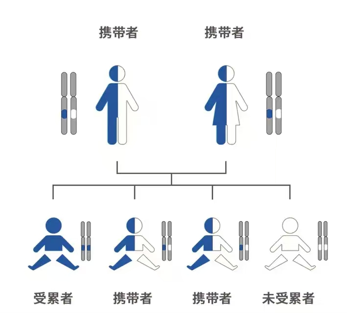 17556716328396.png 17556716328396.png