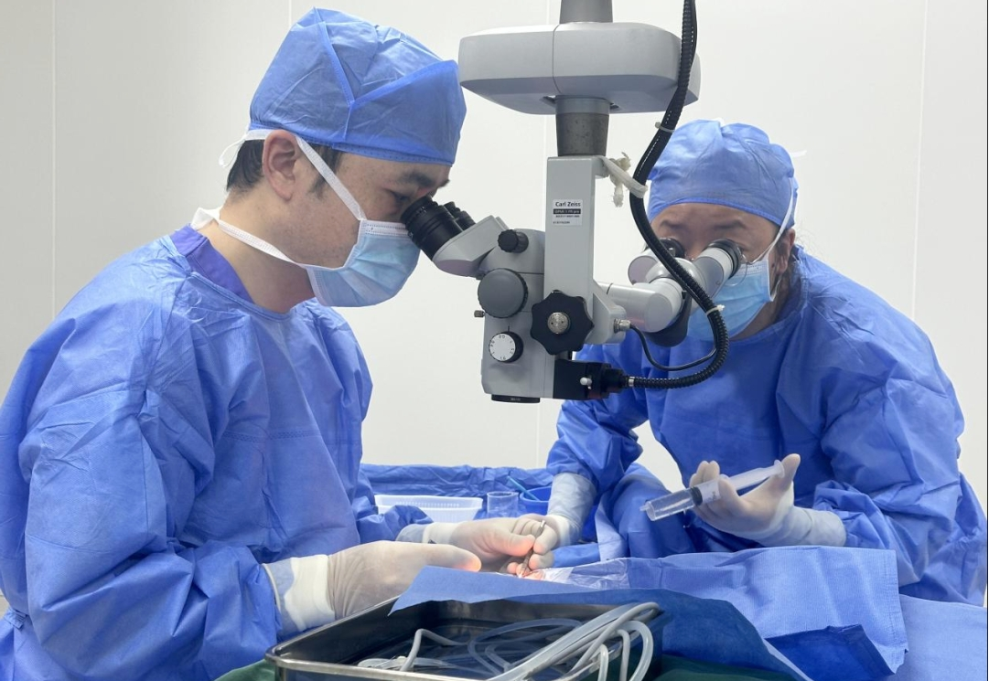 17732821392269.png 17732821392269.png